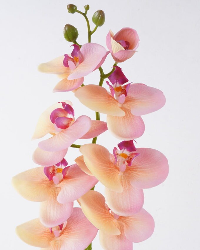 Artificial Flower 18*9*98cm Phalaenopsis *8 single stem/real touch GS-68622007AUT-P1 2026Aug 3,000+ sqm showroom with thousands of artificial flowers, plants & trees ready for global sourcing.