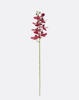 Artificial Flower 18*9*98cm Phalaenopsis *8 single stem/real touch GS-68622007AUT-R1 2026Aug 3,000+ sqm showroom with thousands of artificial flowers, plants & trees ready for global sourcing. Artificial Flower 18*9*98cm Phalaenopsis *8 single stem/real touch GS-68622007AUT-R1 2026Aug 3,000+ sqm showroom with thousands of artificial flowers, plants & trees ready for global sourcing.