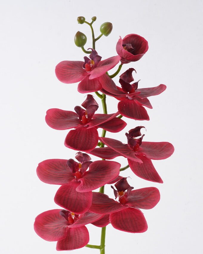 Artificial Flower 18*9*98cm Phalaenopsis *8 single stem/real touch GS-68622007AUT-R1 2026Aug 3,000+ sqm showroom with thousands of artificial flowers, plants & trees ready for global sourcing.