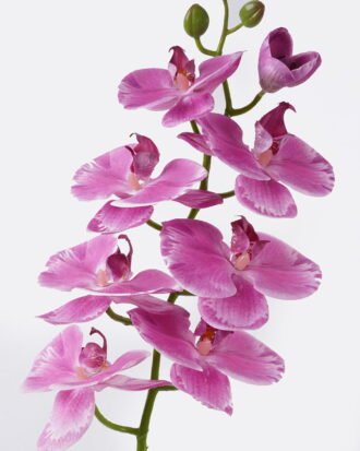 Artificial Flower 18*9*98cm Phalaenopsis *8 single stem/real touch GS-68622007AUT 2026Aug 3,000+ sqm showroom with thousands of artificial flowers, plants & trees ready for global sourcing. Artificial Flower 18*9*98cm Phalaenopsis *8 single stem/real touch GS-68622007AUT 2026Aug 3,000+ sqm showroom with thousands of artificial flowers, plants & trees ready for global sourcing.