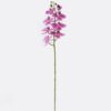 Artificial Flower Phalaenopsis 8 single stem real touch GS-68622007AUT_3 Artificial Flower 18*9*98cm Phalaenopsis *8 single stem/real touch GS-68622007AUT 2026Aug 3,000+ sqm showroom with thousands of artificial flowers, plants & trees ready for global sourcing.