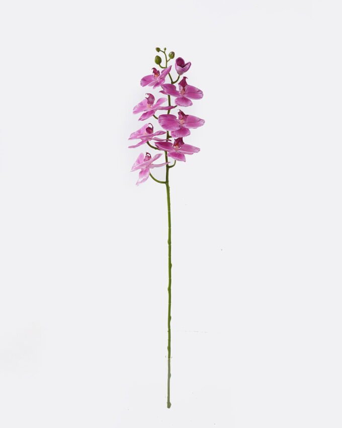 Artificial Flower Phalaenopsis 8 single stem real touch GS-68622007AUT_3 Artificial Flower 18*9*98cm Phalaenopsis *8 single stem/real touch GS-68622007AUT 2026Aug 3,000+ sqm showroom with thousands of artificial flowers, plants & trees ready for global sourcing.