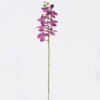 Artificial Flower Phalaenopsis 8 single stem real touch GS-68622007AUT_4 Artificial Flower 18*9*98cm Phalaenopsis *8 single stem/real touch GS-68622007AUT 2026Aug 3,000+ sqm showroom with thousands of artificial flowers, plants & trees ready for global sourcing.