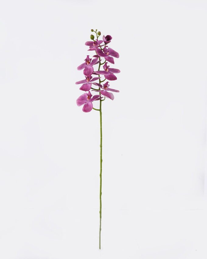 Artificial Flower Phalaenopsis 8 single stem real touch GS-68622007AUT_4 Artificial Flower 18*9*98cm Phalaenopsis *8 single stem/real touch GS-68622007AUT 2026Aug 3,000+ sqm showroom with thousands of artificial flowers, plants & trees ready for global sourcing.