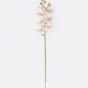 Artificial Flower Phalaenopsis 8 single stem real touch GS-68622007AUT_5 Artificial Flower 18*9*98cm Phalaenopsis *8 single stem/real touch GS-68622007AUT 2026Aug 3,000+ sqm showroom with thousands of artificial flowers, plants & trees ready for global sourcing.