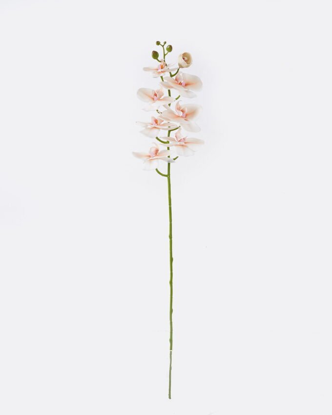 Artificial Flower Phalaenopsis 8 single stem real touch GS-68622007AUT_5 Artificial Flower 18*9*98cm Phalaenopsis *8 single stem/real touch GS-68622007AUT 2026Aug 3,000+ sqm showroom with thousands of artificial flowers, plants & trees ready for global sourcing.