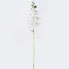 Artificial Flower Phalaenopsis 8 single stem real touch GS-68626002-W2 Artificial Flower 12.5*7*76cm Phalaenopsis *8 single stem/real touch GS-68626002-W2 2026Aug 3,000+ sqm showroom with thousands of artificial flowers, plants & trees ready for global sourcing.