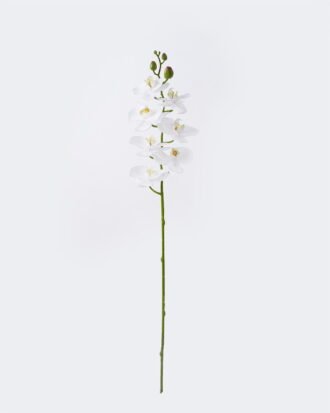 Artificial Flower 12.5*7*76cm Phalaenopsis *8 single stem/real touch GS-68626002-W2 2026Aug 3,000+ sqm showroom with thousands of artificial flowers, plants & trees ready for global sourcing. Artificial Flower 12.5*7*76cm Phalaenopsis *8 single stem/real touch GS-68626002-W2 2026Aug 3,000+ sqm showroom with thousands of artificial flowers, plants & trees ready for global sourcing.