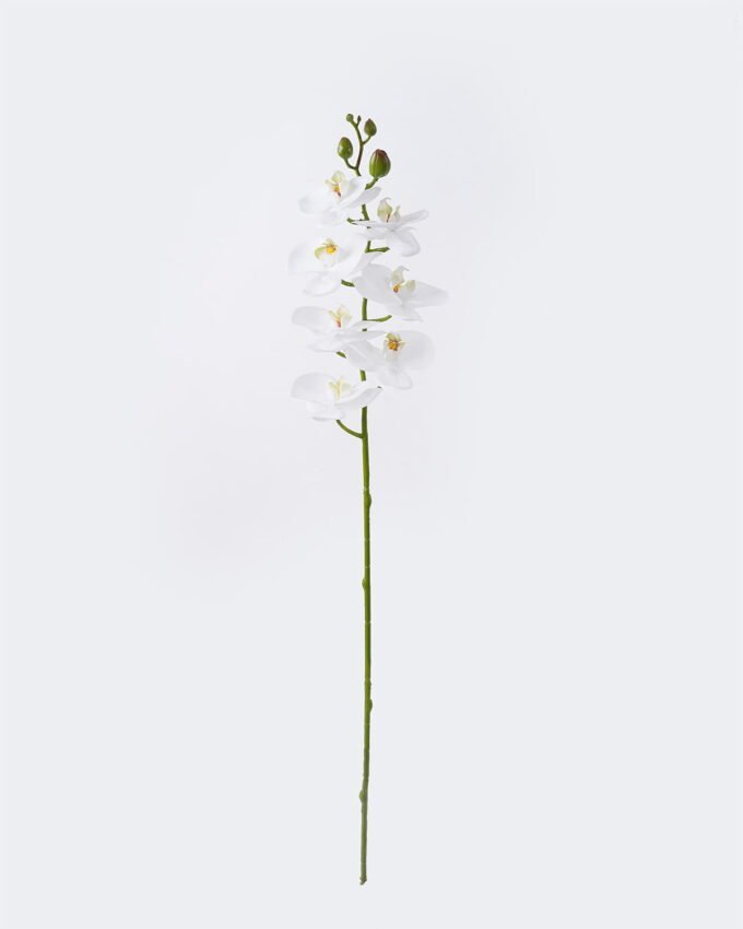 Artificial Flower 12.5*7*76cm Phalaenopsis *8 single stem/real touch GS-68626002-W2 2026Aug 3,000+ sqm showroom with thousands of artificial flowers, plants & trees ready for global sourcing.