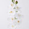 Artificial Flower Phalaenopsis 8 single stem real touch GS-68626002-W2_2 Artificial Flower 12.5*7*76cm Phalaenopsis *8 single stem/real touch GS-68626002-W2 2026Aug 3,000+ sqm showroom with thousands of artificial flowers, plants & trees ready for global sourcing.