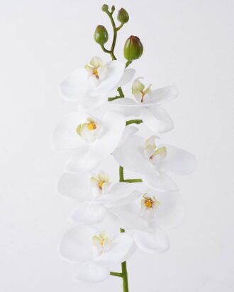 Artificial Flower 12.5*7*76cm Phalaenopsis *8 single stem/real touch GS-68626002-W2 2026Aug 3,000+ sqm showroom with thousands of artificial flowers, plants & trees ready for global sourcing. Artificial Flower 12.5*7*76cm Phalaenopsis *8 single stem/real touch GS-68626002-W2 2026Aug 3,000+ sqm showroom with thousands of artificial flowers, plants & trees ready for global sourcing.
