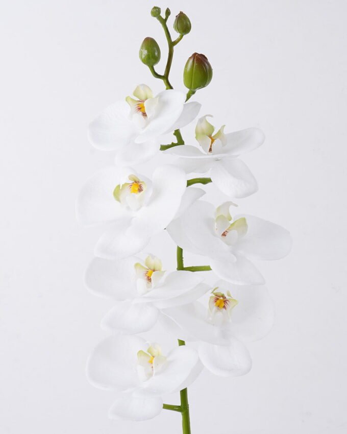 Artificial Flower 12.5*7*76cm Phalaenopsis *8 single stem/real touch GS-68626002-W2 2026Aug 3,000+ sqm showroom with thousands of artificial flowers, plants & trees ready for global sourcing.