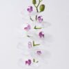 Artificial Flower Phalaenopsis 8 single stem real touch GS-68626002_2 Artificial Flower 12.5*7*76cm Phalaenopsis *8 single stem/real touch GS-68626002 2026Aug 3,000+ sqm showroom with thousands of artificial flowers, plants & trees ready for global sourcing.