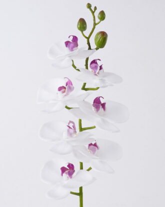 Artificial Flower 12.5*7*76cm Phalaenopsis *8 single stem/real touch GS-68626002 2026Aug 3,000+ sqm showroom with thousands of artificial flowers, plants & trees ready for global sourcing. Artificial Flower 12.5*7*76cm Phalaenopsis *8 single stem/real touch GS-68626002 2026Aug 3,000+ sqm showroom with thousands of artificial flowers, plants & trees ready for global sourcing.