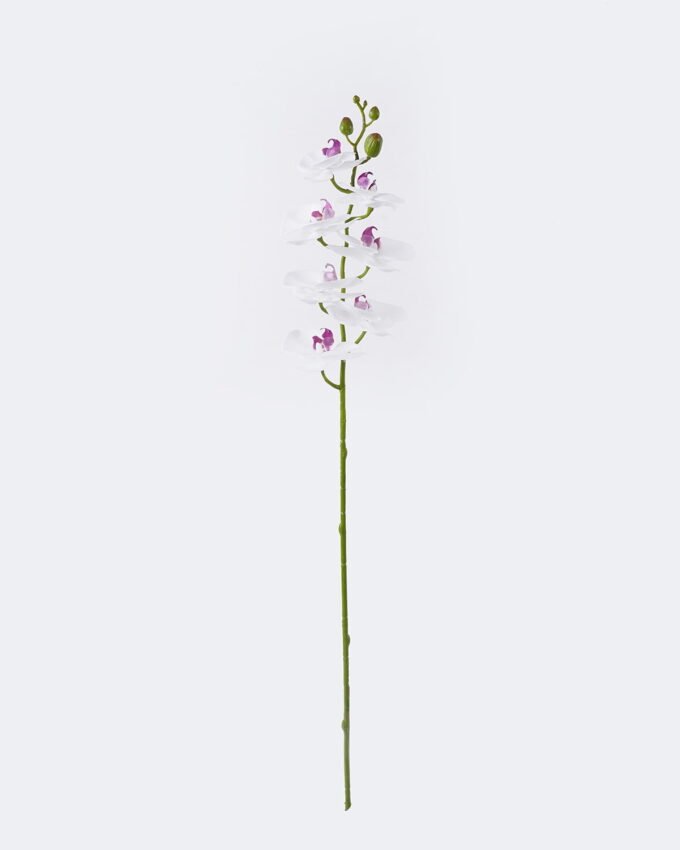 Artificial Flower Phalaenopsis 8 single stem real touch GS-68626002_3 Artificial Flower 12.5*7*76cm Phalaenopsis *8 single stem/real touch GS-68626002 2026Aug 3,000+ sqm showroom with thousands of artificial flowers, plants & trees ready for global sourcing.