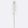 Artificial Flower Phalaenopsis 8 single stem real touch GS-68626002_4 Artificial Flower 12.5*7*76cm Phalaenopsis *8 single stem/real touch GS-68626002 2026Aug 3,000+ sqm showroom with thousands of artificial flowers, plants & trees ready for global sourcing.