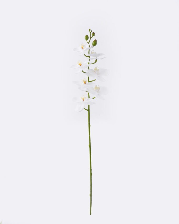 Artificial Flower Phalaenopsis 8 single stem real touch GS-68626002_4 Artificial Flower 12.5*7*76cm Phalaenopsis *8 single stem/real touch GS-68626002 2026Aug 3,000+ sqm showroom with thousands of artificial flowers, plants & trees ready for global sourcing.