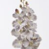 Artificial Flower Phalaenopsis 9 single stem GS-64925038-H1_1 Artificial Flower 16*8*95cm Phalaenopsis *9 single stem GS-64925038-H1 2026Aug 3,000+ sqm showroom with thousands of artificial flowers, plants & trees ready for global sourcing.