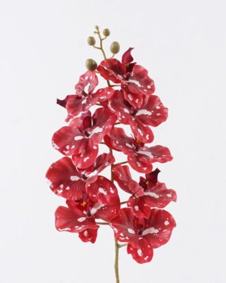 Artificial Flower 16*8*95cm Phalaenopsis *9 single stem GS-64925038-R2 2026Aug 3,000+ sqm showroom with thousands of artificial flowers, plants & trees ready for global sourcing. Artificial Flower 16*8*95cm Phalaenopsis *9 single stem GS-64925038-R2 2026Aug 3,000+ sqm showroom with thousands of artificial flowers, plants & trees ready for global sourcing.
