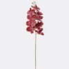 Artificial Flower Phalaenopsis 9 single stem GS-64925038-R4 Artificial Flower 16*8*95cm Phalaenopsis *9 single stem GS-64925038-R4 2026Aug 3,000+ sqm showroom with thousands of artificial flowers, plants & trees ready for global sourcing.