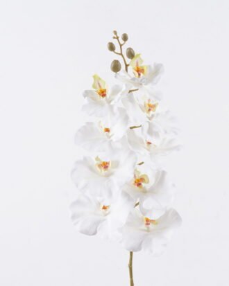Artificial Flower 16*8*95cm Phalaenopsis *9 single stem GS-64925038-W2 2026Aug 3,000+ sqm showroom with thousands of artificial flowers, plants & trees ready for global sourcing. Artificial Flower 16*8*95cm Phalaenopsis *9 single stem GS-64925038-W2 2026Aug 3,000+ sqm showroom with thousands of artificial flowers, plants & trees ready for global sourcing.