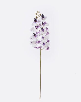 Artificial Flower 16*8*95cm Phalaenopsis *9 single stem GS-64925038-W3 2026Aug 3,000+ sqm showroom with thousands of artificial flowers, plants & trees ready for global sourcing. Artificial Flower 16*8*95cm Phalaenopsis *9 single stem GS-64925038-W3 2026Aug 3,000+ sqm showroom with thousands of artificial flowers, plants & trees ready for global sourcing.
