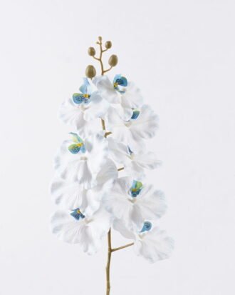 Artificial Flower 16*8*95cm Phalaenopsis *9 single stem GS-64925038-W4 2026Aug 3,000+ sqm showroom with thousands of artificial flowers, plants & trees ready for global sourcing. Artificial Flower 16*8*95cm Phalaenopsis *9 single stem GS-64925038-W4 2026Aug 3,000+ sqm showroom with thousands of artificial flowers, plants & trees ready for global sourcing.
