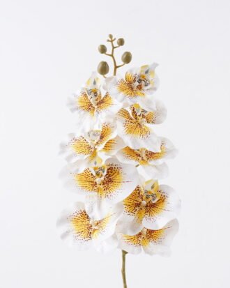 Artificial Flower 16*8*95cm Phalaenopsis *9 single stem GS-64925038-W6 2026Aug 3,000+ sqm showroom with thousands of artificial flowers, plants & trees ready for global sourcing. Artificial Flower 16*8*95cm Phalaenopsis *9 single stem GS-64925038-W6 2026Aug 3,000+ sqm showroom with thousands of artificial flowers, plants & trees ready for global sourcing.