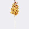Artificial Flower Phalaenopsis 9 single stem GS-64925038-Y2 Artificial Flower 16*8*95cm Phalaenopsis *9 single stem GS-64925038-Y2 2026Aug 3,000+ sqm showroom with thousands of artificial flowers, plants & trees ready for global sourcing.