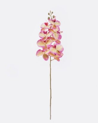 Artificial Flower 16*8*95cm Phalaenopsis *9 single stem GS-64925038-Y4 2026Aug 3,000+ sqm showroom with thousands of artificial flowers, plants & trees ready for global sourcing. Artificial Flower 16*8*95cm Phalaenopsis *9 single stem GS-64925038-Y4 2026Aug 3,000+ sqm showroom with thousands of artificial flowers, plants & trees ready for global sourcing.