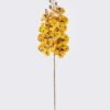 Artificial Flower Phalaenopsis 9 single stem GS-64925038-Y5_1 Artificial Flower 16*8*95cm Phalaenopsis *9 single stem GS-64925038-Y5 2026Aug 3,000+ sqm showroom with thousands of artificial flowers, plants & trees ready for global sourcing.