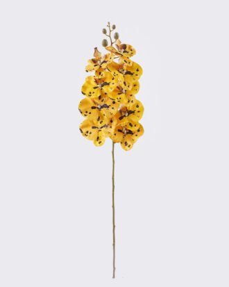 Artificial Flower 16*8*95cm Phalaenopsis *9 single stem GS-64925038-Y5 2026Aug 3,000+ sqm showroom with thousands of artificial flowers, plants & trees ready for global sourcing. Artificial Flower 16*8*95cm Phalaenopsis *9 single stem GS-64925038-Y5 2026Aug 3,000+ sqm showroom with thousands of artificial flowers, plants & trees ready for global sourcing.