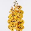 Artificial Flower Phalaenopsis 9 single stem GS-64925038-Y5_3 Artificial Flower 16*8*95cm Phalaenopsis *9 single stem GS-64925038-Y5 2026Aug 3,000+ sqm showroom with thousands of artificial flowers, plants & trees ready for global sourcing.