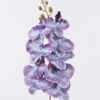 Artificial Flower Phalaenopsis 9 single stem GS-64925038-Z1_1 Artificial Flower 16*8*95cm Phalaenopsis *9 single stem GS-64925038-Z1 2026Aug 3,000+ sqm showroom with thousands of artificial flowers, plants & trees ready for global sourcing.