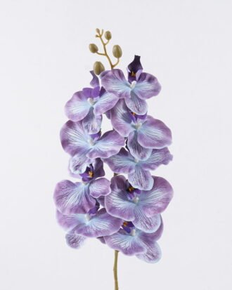 Artificial Flower 16*8*95cm Phalaenopsis *9 single stem GS-64925038-Z1 2026Aug 3,000+ sqm showroom with thousands of artificial flowers, plants & trees ready for global sourcing. Artificial Flower 16*8*95cm Phalaenopsis *9 single stem GS-64925038-Z1 2026Aug 3,000+ sqm showroom with thousands of artificial flowers, plants & trees ready for global sourcing.