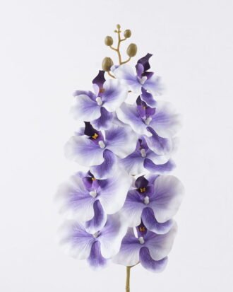 Artificial Flower 16*8*95cm Phalaenopsis *9 single stem GS-64925038-Z2 2026Aug 3,000+ sqm showroom with thousands of artificial flowers, plants & trees ready for global sourcing. Artificial Flower 16*8*95cm Phalaenopsis *9 single stem GS-64925038-Z2 2026Aug 3,000+ sqm showroom with thousands of artificial flowers, plants & trees ready for global sourcing.