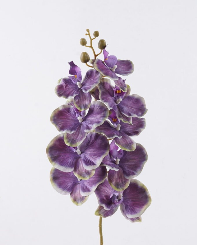 Artificial Flower Phalaenopsis 9 single stem GS-64925038-Z3_1 Artificial Flower 16*8*95cm Phalaenopsis *9 single stem GS-64925038-Z3 2026Aug 3,000+ sqm showroom with thousands of artificial flowers, plants & trees ready for global sourcing.