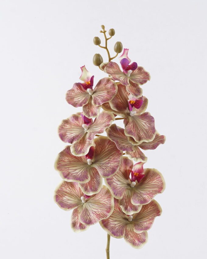 Artificial Flower Phalaenopsis 9 single stem GS-64925038_2 Artificial Flower 16*8*95cm Phalaenopsis *9 single stem GS-64925038 2026Aug 3,000+ sqm showroom with thousands of artificial flowers, plants & trees ready for global sourcing.