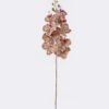 Artificial Flower Phalaenopsis 9 single stem GS-64925038_3 Artificial Flower 16*8*95cm Phalaenopsis *9 single stem GS-64925038 2026Aug 3,000+ sqm showroom with thousands of artificial flowers, plants & trees ready for global sourcing.