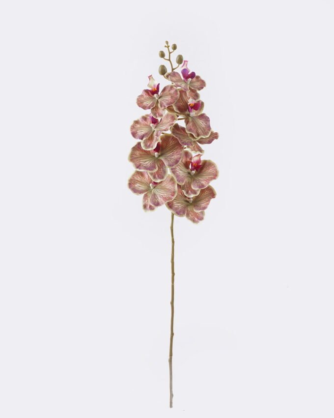 Artificial Flower Phalaenopsis 9 single stem GS-64925038_3 Artificial Flower 16*8*95cm Phalaenopsis *9 single stem GS-64925038 2026Aug 3,000+ sqm showroom with thousands of artificial flowers, plants & trees ready for global sourcing.