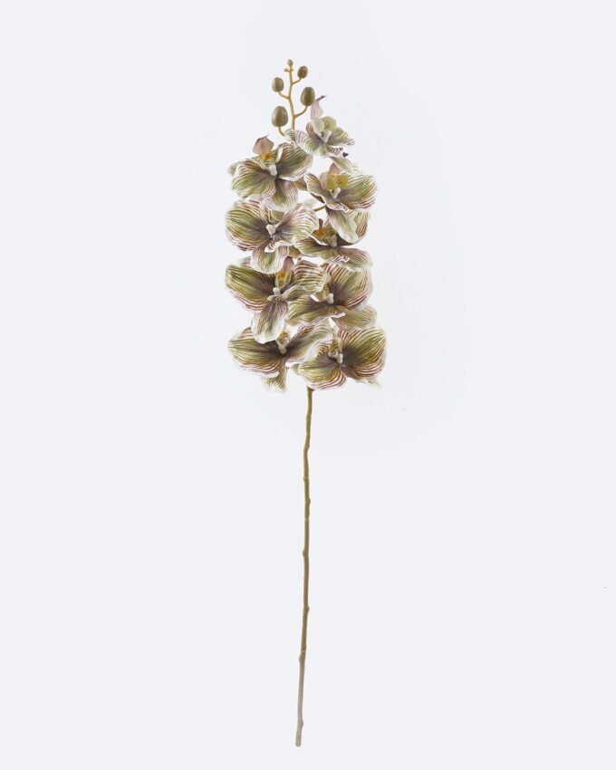 Artificial Flower Phalaenopsis 9 single stem GS-64925038_4 Artificial Flower 16*8*95cm Phalaenopsis *9 single stem GS-64925038 2026Aug 3,000+ sqm showroom with thousands of artificial flowers, plants & trees ready for global sourcing.