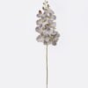 Artificial Flower Phalaenopsis 9 single stem GS-64925038_5 Artificial Flower 16*8*95cm Phalaenopsis *9 single stem GS-64925038 2026Aug 3,000+ sqm showroom with thousands of artificial flowers, plants & trees ready for global sourcing.
