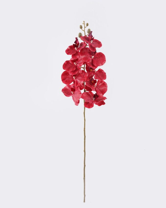 Artificial Flower Phalaenopsis 9 single stem GS-64925038_6 Artificial Flower 16*8*95cm Phalaenopsis *9 single stem GS-64925038 2026Aug 3,000+ sqm showroom with thousands of artificial flowers, plants & trees ready for global sourcing.