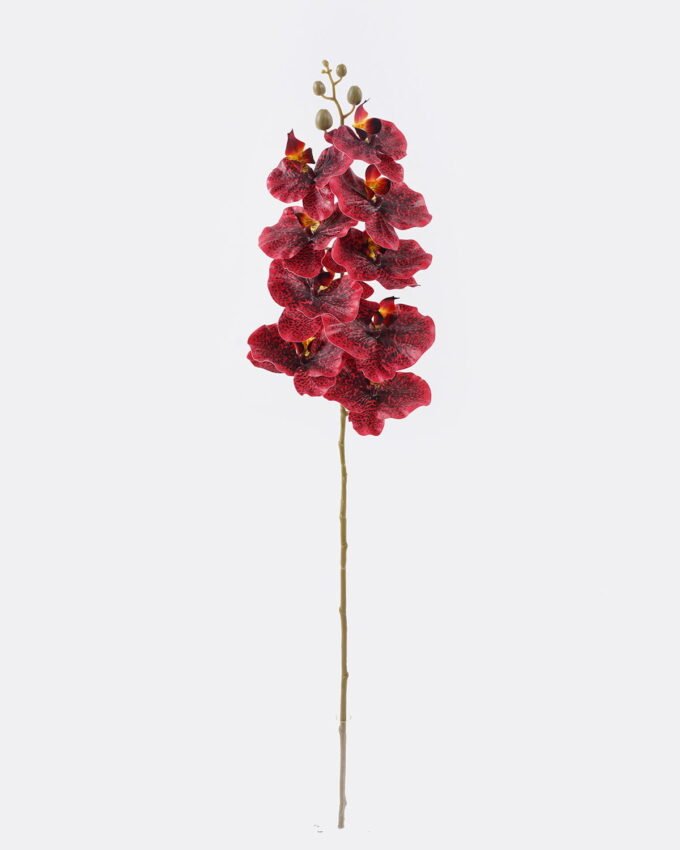 Artificial Flower Phalaenopsis 9 single stem GS-64925038_7 Artificial Flower 16*8*95cm Phalaenopsis *9 single stem GS-64925038 2026Aug 3,000+ sqm showroom with thousands of artificial flowers, plants & trees ready for global sourcing.