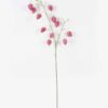 Artificial Flower 25*8*90cm Physalis peruviana *11 single stem GS-77626006-R1 2026Aug 3,000+ sqm showroom with thousands of artificial flowers, plants & trees ready for global sourcing.