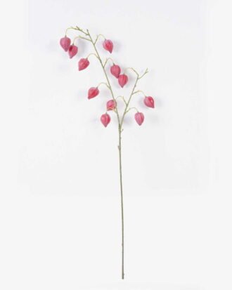Artificial Flower 25*8*90cm Physalis peruviana *11 single stem GS-77626006-R1 2026Aug 3,000+ sqm showroom with thousands of artificial flowers, plants & trees ready for global sourcing. Artificial Flower 25*8*90cm Physalis peruviana *11 single stem GS-77626006-R1 2026Aug 3,000+ sqm showroom with thousands of artificial flowers, plants & trees ready for global sourcing.