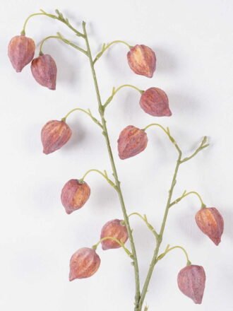 Artificial Flower 25*8*90cm Physalis peruviana *11 single stem GS-77626006-R1 2026Aug 3,000+ sqm showroom with thousands of artificial flowers, plants & trees ready for global sourcing.