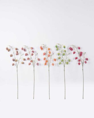 Artificial Flower 25*8*90cm Physalis peruviana *11 single stem GS-77626006 2026Aug 3,000+ sqm showroom with thousands of artificial flowers, plants & trees ready for global sourcing. Artificial Flower 25*8*90cm Physalis peruviana *11 single stem GS-77626006 2026Aug 3,000+ sqm showroom with thousands of artificial flowers, plants & trees ready for global sourcing.