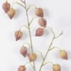 Artificial Flower 25*8*90cm Physalis peruviana *11 single stem GS-77626006 2026Aug 3,000+ sqm showroom with thousands of artificial flowers, plants & trees ready for global sourcing.