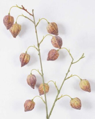 Artificial Flower 25*8*90cm Physalis peruviana *11 single stem GS-77626006 2026Aug 3,000+ sqm showroom with thousands of artificial flowers, plants & trees ready for global sourcing. Artificial Flower 25*8*90cm Physalis peruviana *11 single stem GS-77626006 2026Aug 3,000+ sqm showroom with thousands of artificial flowers, plants & trees ready for global sourcing.